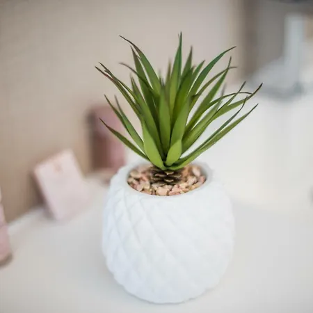 Corniche D'argent - ニース